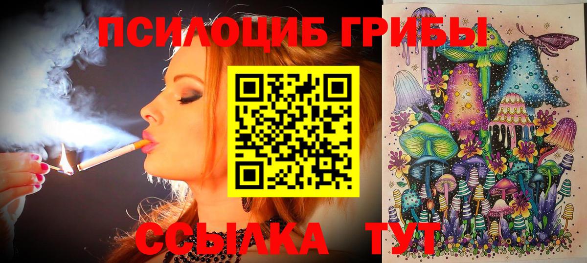Миллерово  Галлюциногенные грибы Cubensis  Вход с VPN 